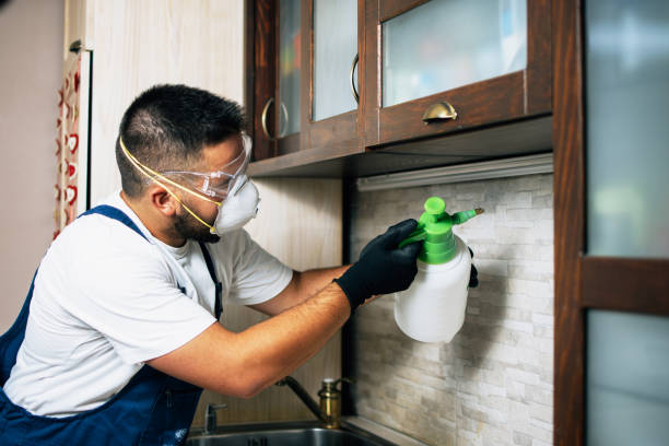 Best Affordable Pest Control Services  in Mohnton, PA