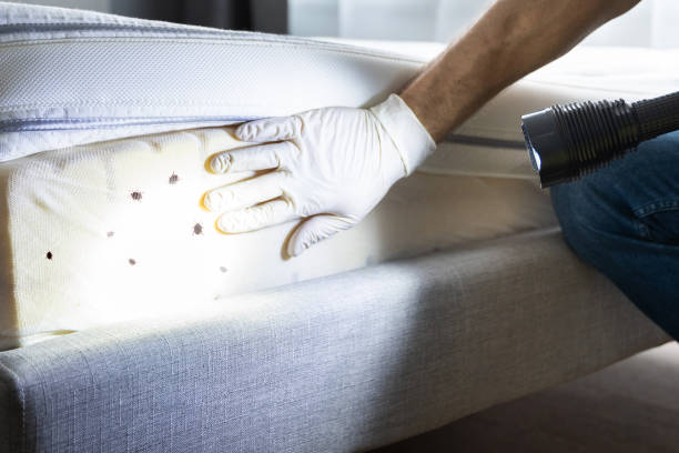 Best Pest Control Near Me  in Mohnton, PA
