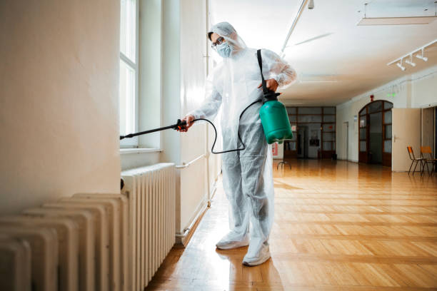 Flea Control Services in Mohnton, PA