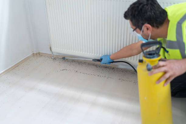Professional Pest Control in Mohnton, PA